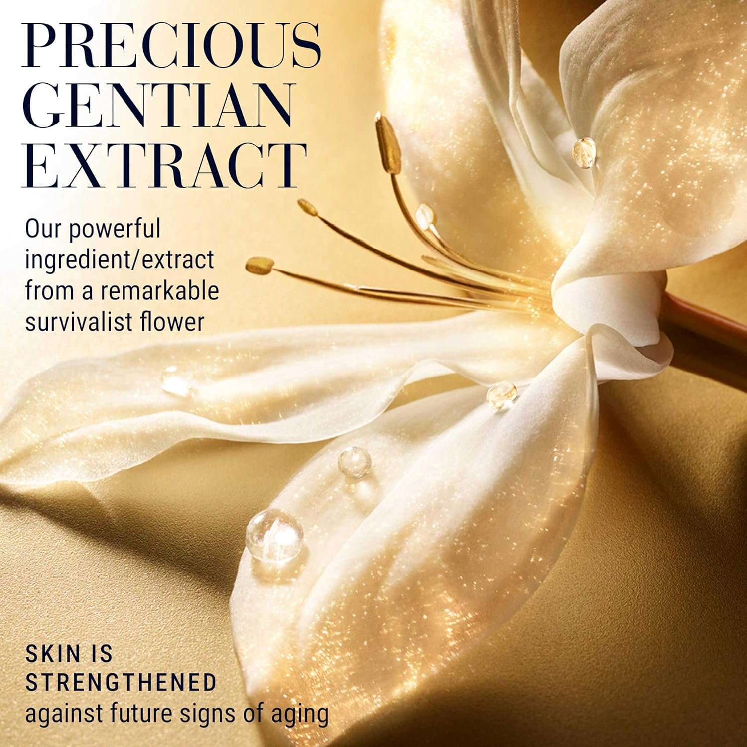 Estée Lauder Re-Nutriv Ultimate Lift Regenerating Youth Eye Cream Rich | Under Eye Cream for Dark Circles & Anti-Aging, 0.5 Ounce - Image 2